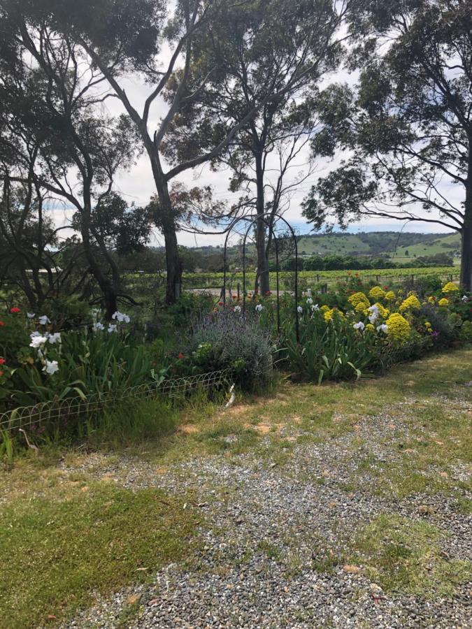 Bethany Cottages Buitenkant foto